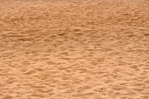 차르스 카지노 지원